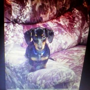 Meet your Posher, Teresa